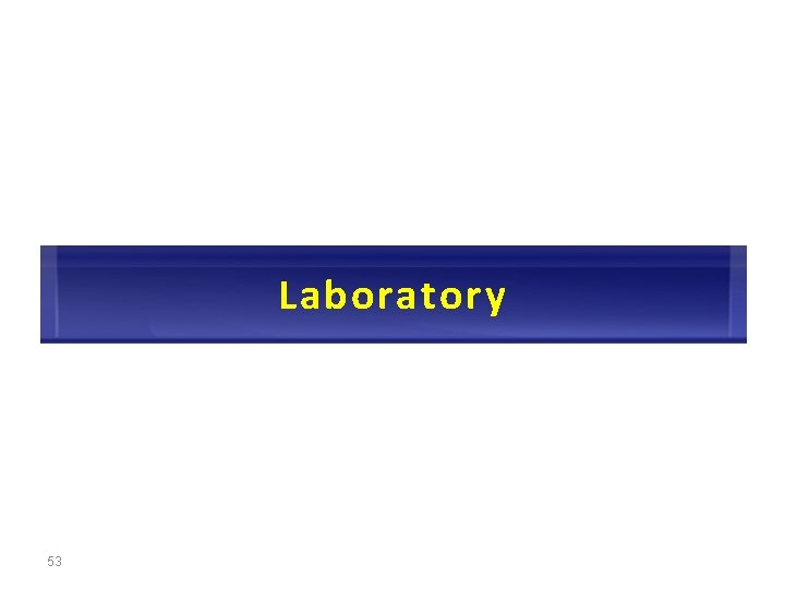 Laboratory 53 