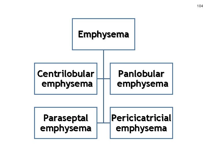 104 Emphysema Centrilobular emphysema Panlobular emphysema Paraseptal emphysema Pericicatricial emphysema 