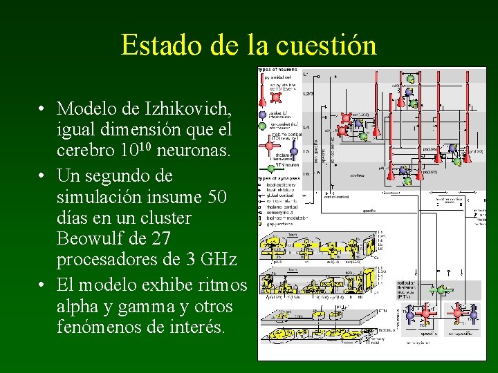 Estado de la cuestión • Modelo de Izhikovich, igual dimensión que el cerebro 1010