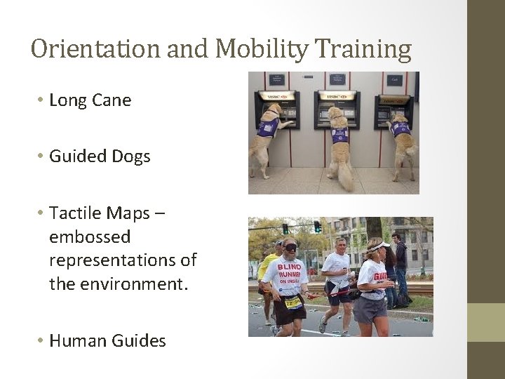 Orientation and Mobility Training • Long Cane • Guided Dogs • Tactile Maps –