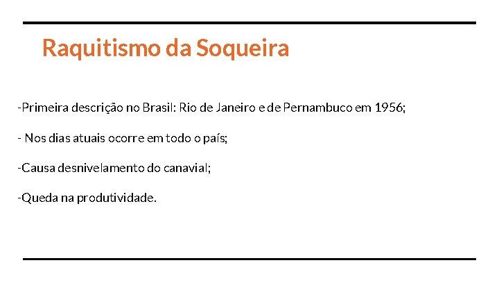 Raquitismo da Soqueira -Primeira descrição no Brasil: Rio de Janeiro e de Pernambuco em