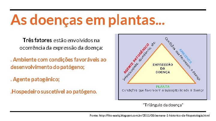 As doenças em plantas. . . Três fatores estão envolvidos na ocorrência da expressão