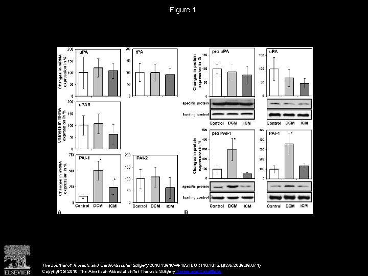 Figure 1 The Journal of Thoracic and Cardiovascular Surgery 2010 1391644 -1651 DOI: (10.