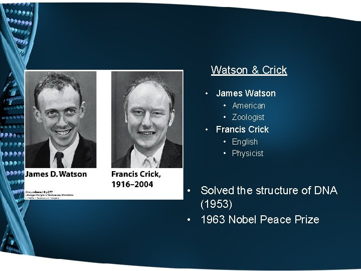 Watson & Crick • James Watson • American • Zoologist • Francis Crick •