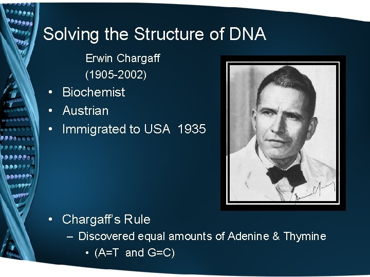 Solving the Structure of DNA Erwin Chargaff (1905 -2002) • Biochemist • Austrian •