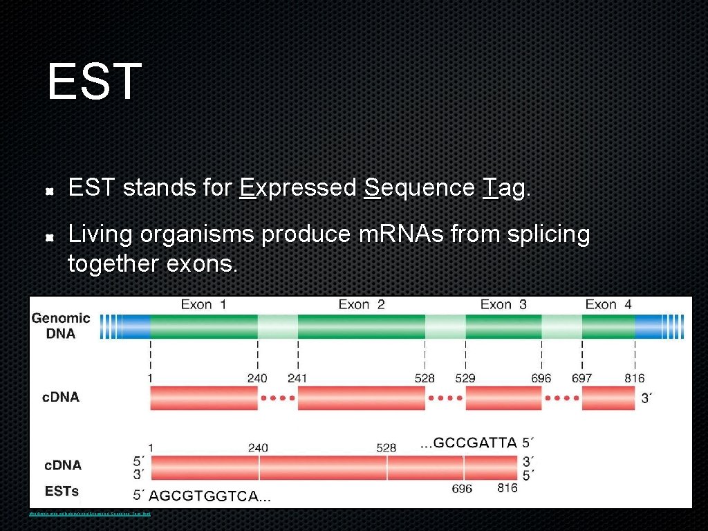 EST stands for Expressed Sequence Tag. Living organisms produce m. RNAs from splicing together