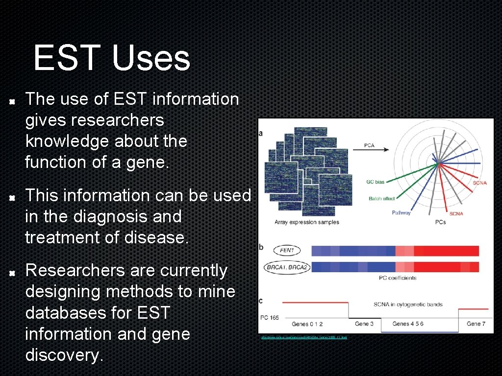 EST Uses The use of EST information gives researchers knowledge about the function of