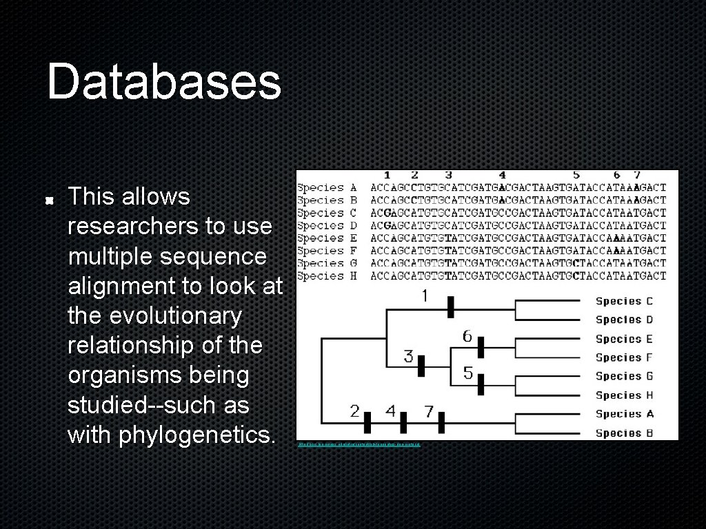 Databases This allows researchers to use multiple sequence alignment to look at the evolutionary