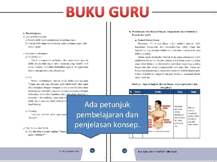 BUKU GURU Ada petunjuk pembelajaran dan penjelasan konsep. 