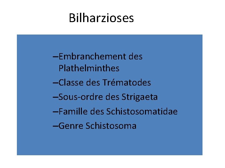 Bilharzioses –Embranchement des Plathelminthes –Classe des Trématodes –Sous-ordre des Strigaeta –Famille des Schistosomatidae –Genre