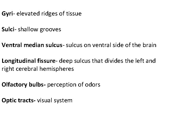 Gyri- elevated ridges of tissue Sulci- shallow grooves Ventral median sulcus- sulcus on ventral