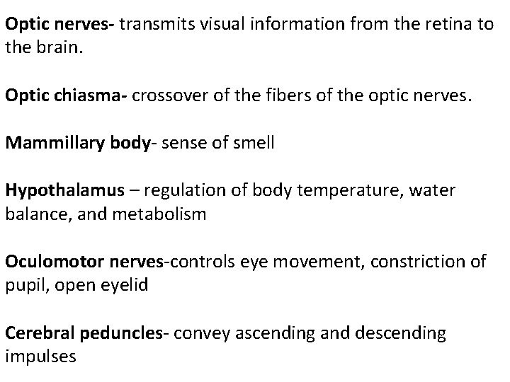 Optic nerves- transmits visual information from the retina to the brain. Optic chiasma- crossover