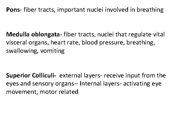 Pons- fiber tracts, important nuclei involved in breathing Medulla oblongata- fiber tracts, nuclei that