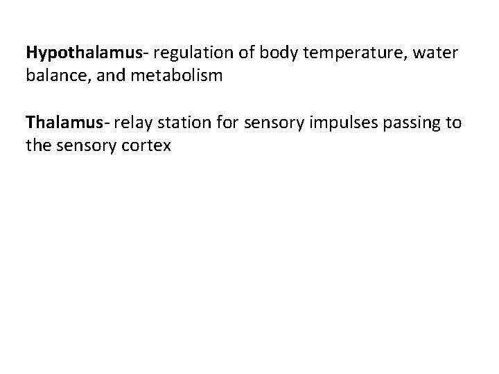 Hypothalamus- regulation of body temperature, water balance, and metabolism Thalamus- relay station for sensory