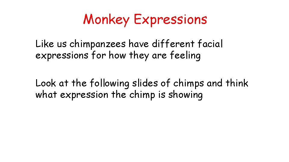 Monkey Expressions Like us chimpanzees have different facial expressions for how they are feeling