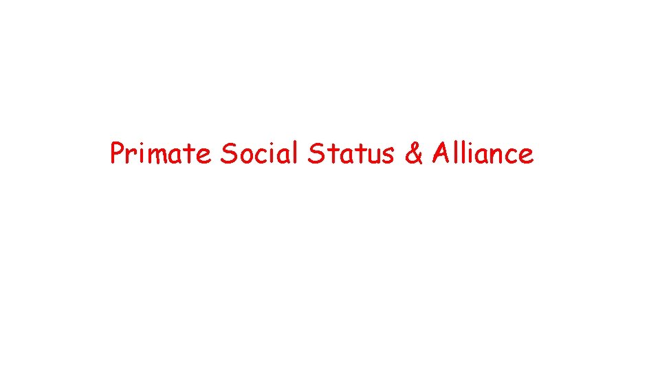 Primate Social Status & Alliance 