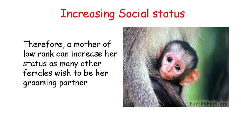 Increasing Social status Therefore, a mother of low rank can increase her status as