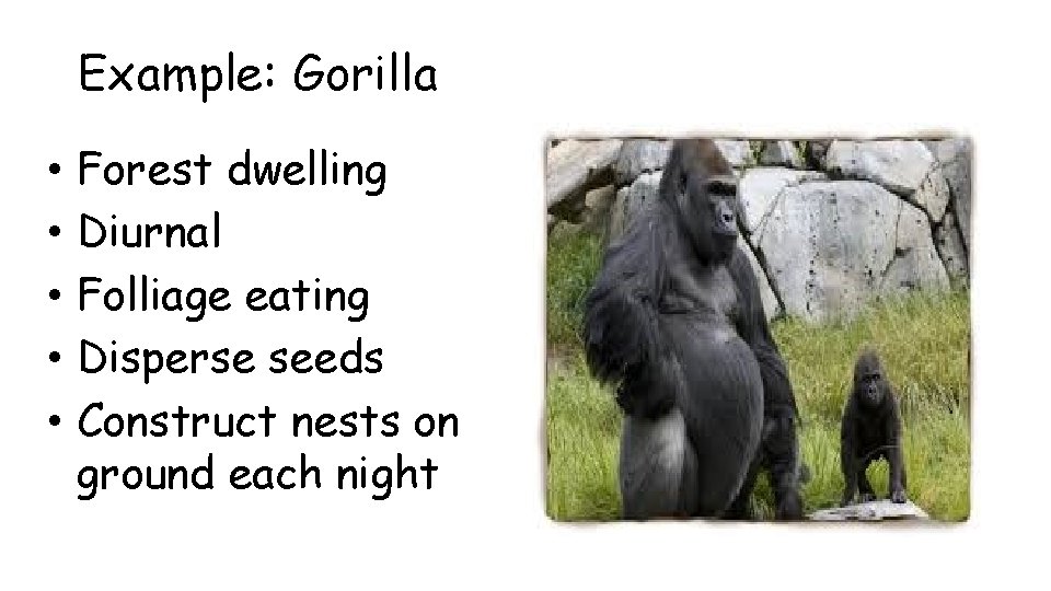 Example: Gorilla • • • Forest dwelling Diurnal Folliage eating Disperse seeds Construct nests