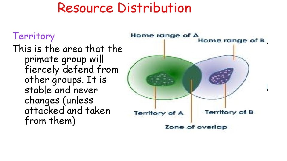 Resource Distribution Territory This is the area that the primate group will fiercely defend