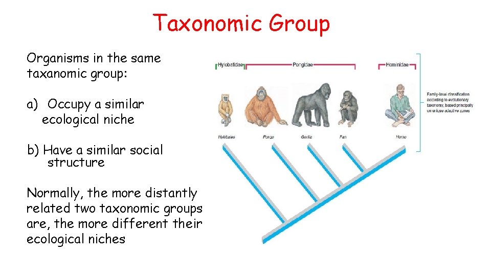 Taxonomic Group Organisms in the same taxanomic group: a) Occupy a similar ecological niche