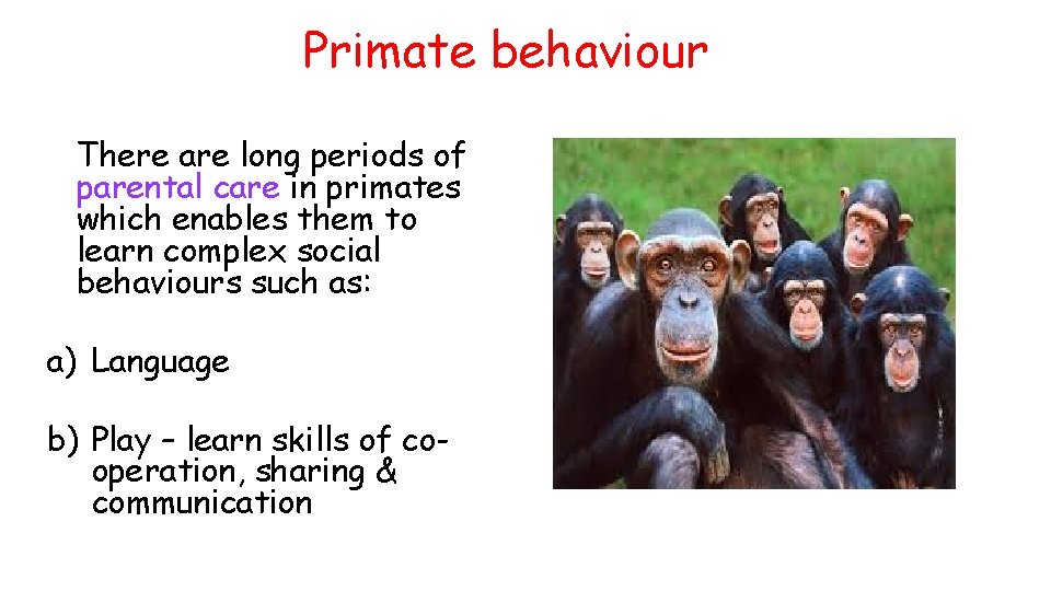 Primate behaviour There are long periods of parental care in primates which enables them