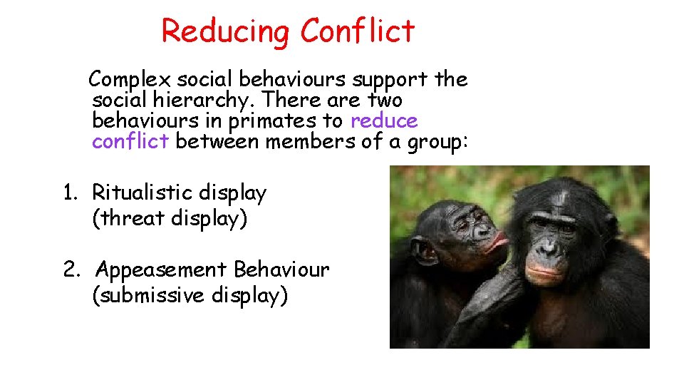 Reducing Conflict Complex social behaviours support the social hierarchy. There are two behaviours in