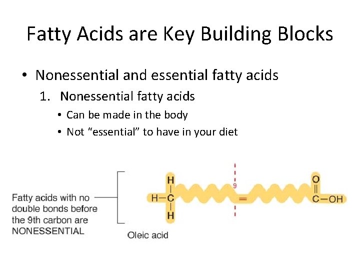 Fatty Acids are Key Building Blocks • Nonessential and essential fatty acids 1. Nonessential