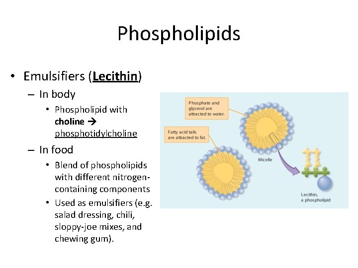 Phospholipids • Emulsifiers (Lecithin) – In body • Phospholipid with choline phosphotidylcholine – In