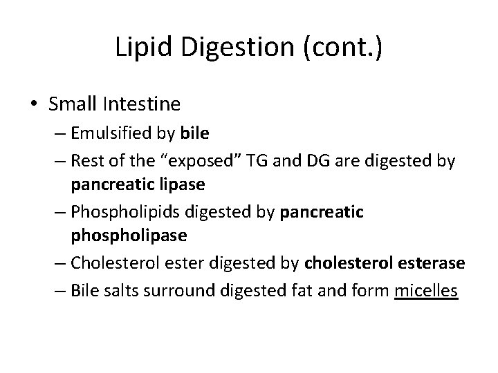 Lipid Digestion (cont. ) • Small Intestine – Emulsified by bile – Rest of