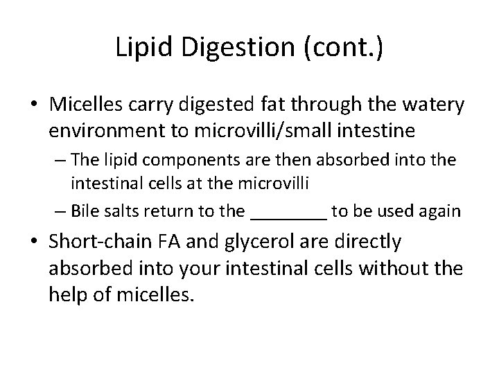 Lipid Digestion (cont. ) • Micelles carry digested fat through the watery environment to