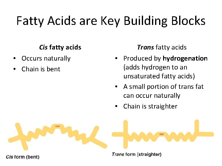 Fatty Acids are Key Building Blocks Cis fatty acids • Occurs naturally • Chain