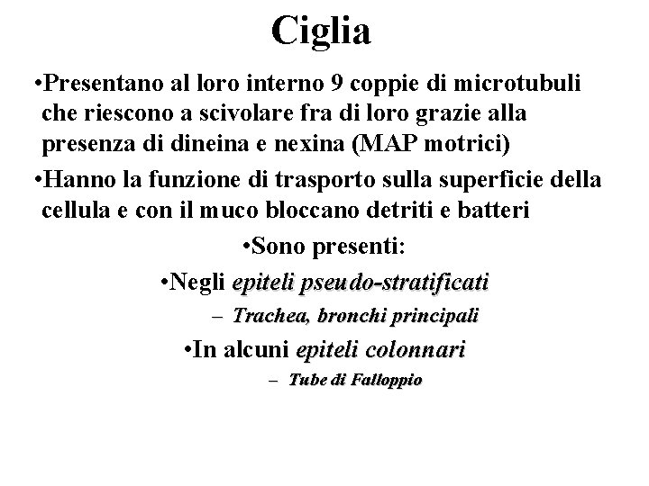 Ciglia • Presentano al loro interno 9 coppie di microtubuli che riescono a scivolare