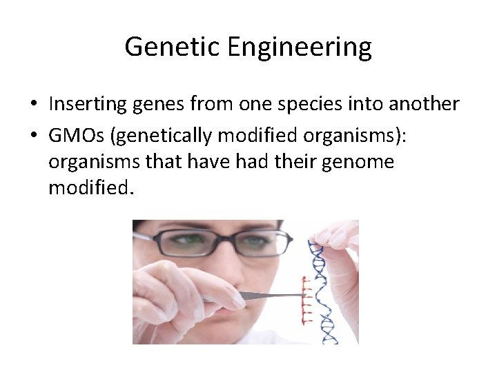 Genetic Engineering • Inserting genes from one species into another • GMOs (genetically modified