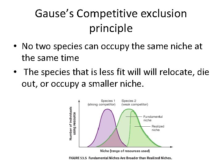 Gause’s Competitive exclusion principle • No two species can occupy the same niche at