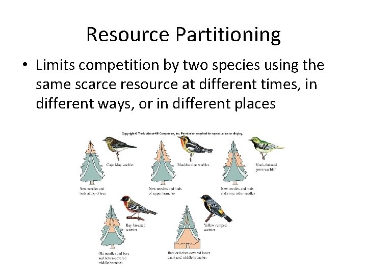 Resource Partitioning • Limits competition by two species using the same scarce resource at