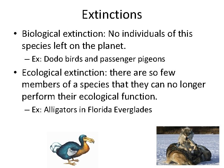 Extinctions • Biological extinction: No individuals of this species left on the planet. –