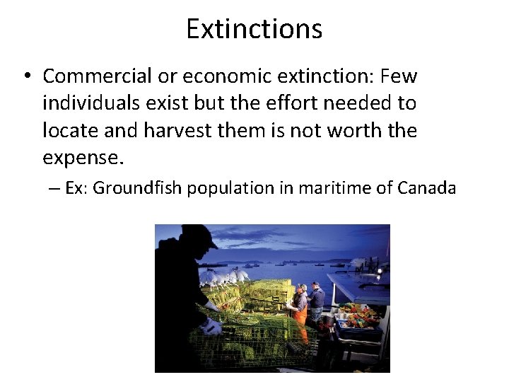 Extinctions • Commercial or economic extinction: Few individuals exist but the effort needed to