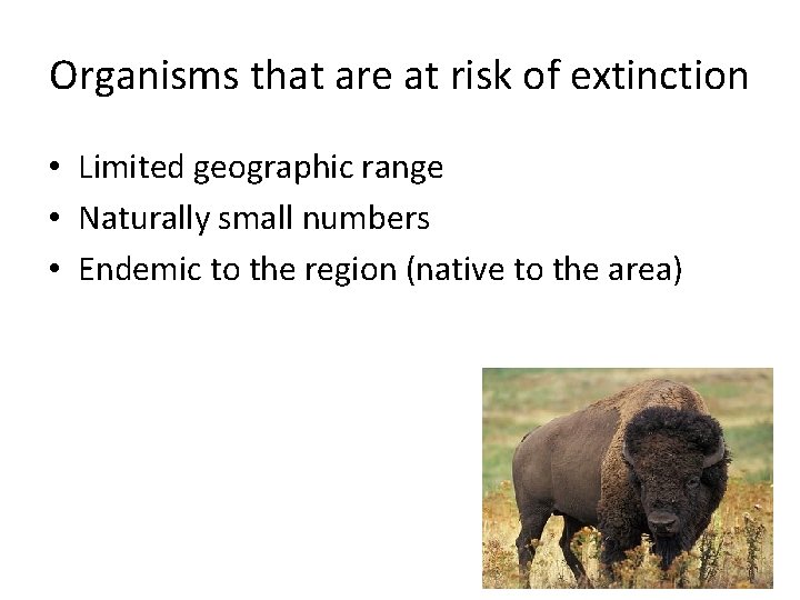 Organisms that are at risk of extinction • Limited geographic range • Naturally small