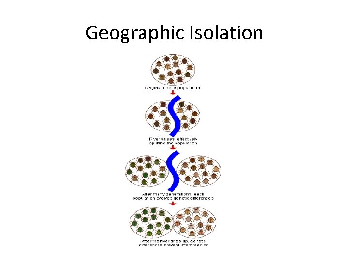 Geographic Isolation 