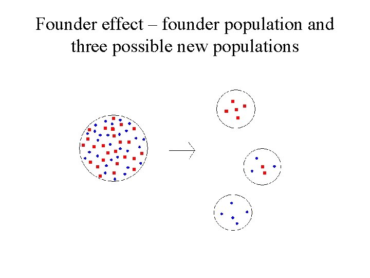 Founder effect – founder population and three possible new populations 