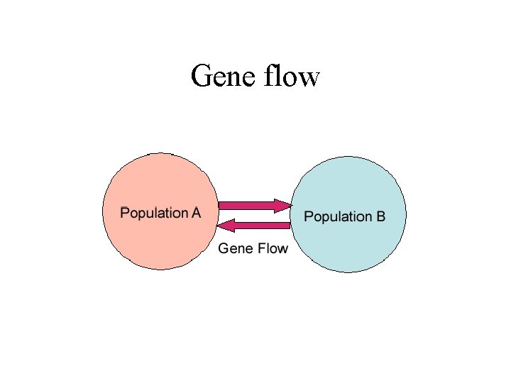 Gene flow 