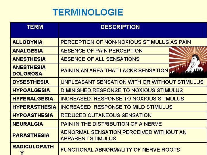 TERMINOLOGIE TERM DESCRIPTION ALLODYNIA PERCEPTION OF NON-NOXIOUS STIMULUS AS PAIN ANALGESIA ABSENCE OF PAIN