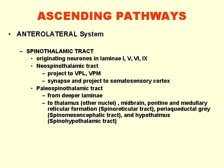 ASCENDING PATHWAYS • ANTEROLATERAL System – SPINOTHALAMIC TRACT • originating neurones in laminae I,