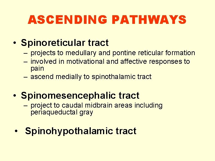 ASCENDING PATHWAYS • Spinoreticular tract – projects to medullary and pontine reticular formation –