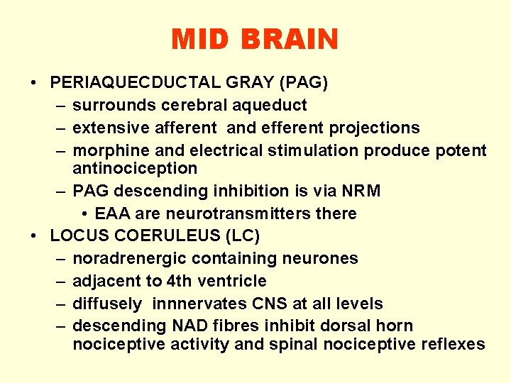 MID BRAIN • PERIAQUECDUCTAL GRAY (PAG) – surrounds cerebral aqueduct – extensive afferent and