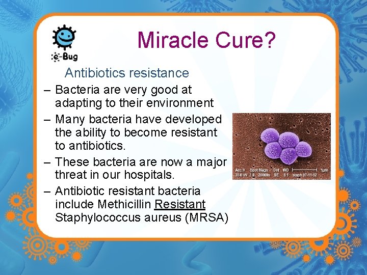 Miracle Cure? Antibiotics resistance – Bacteria are very good at adapting to their environment