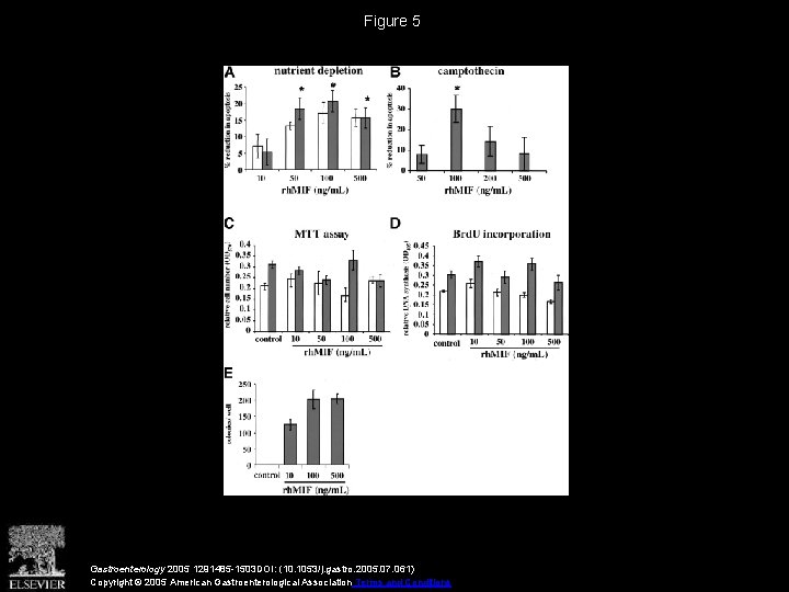 Figure 5 Gastroenterology 2005 1291485 -1503 DOI: (10. 1053/j. gastro. 2005. 07. 061) Copyright