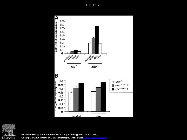 Figure 7 Gastroenterology 2005 1291485 -1503 DOI: (10. 1053/j. gastro. 2005. 07. 061) Copyright