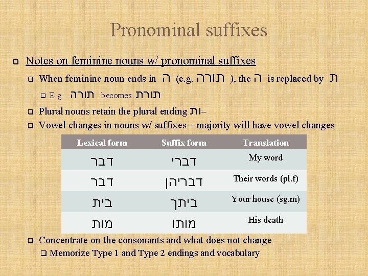 Pronominal suffixes q Notes on feminine nouns w/ pronominal suffixes q When feminine noun