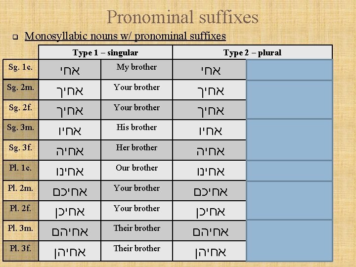 Pronominal suffixes q Monosyllabic nouns w/ pronominal suffixes Type 1 – singular Sg. 1